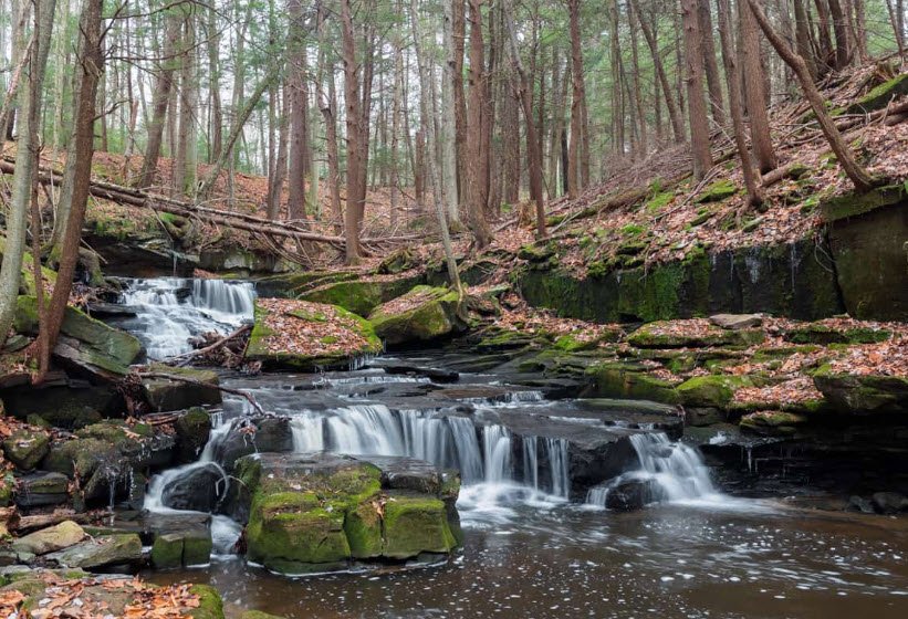 Maurice K Goddard State Park, Pennsylvania, USA